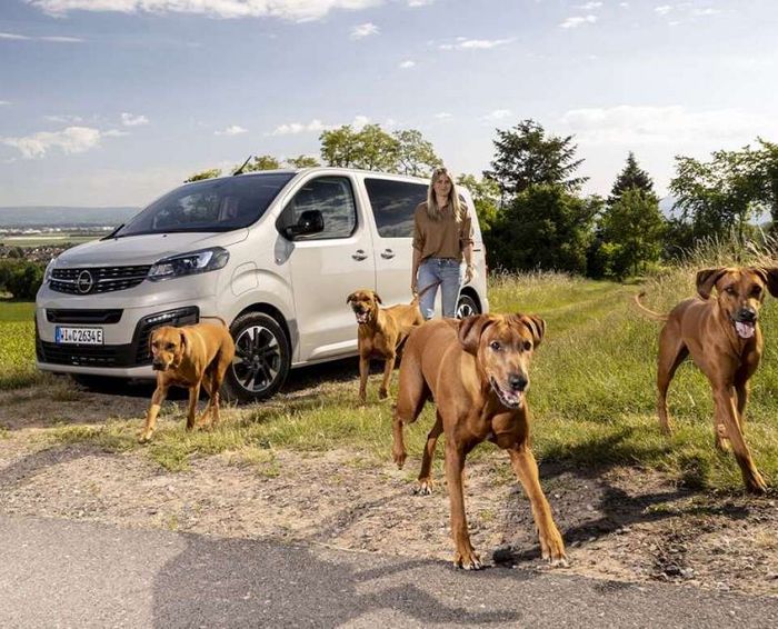 NAJLEPSZY „PSYJACIEL”: OPEL ZAFIRA-E LIFE