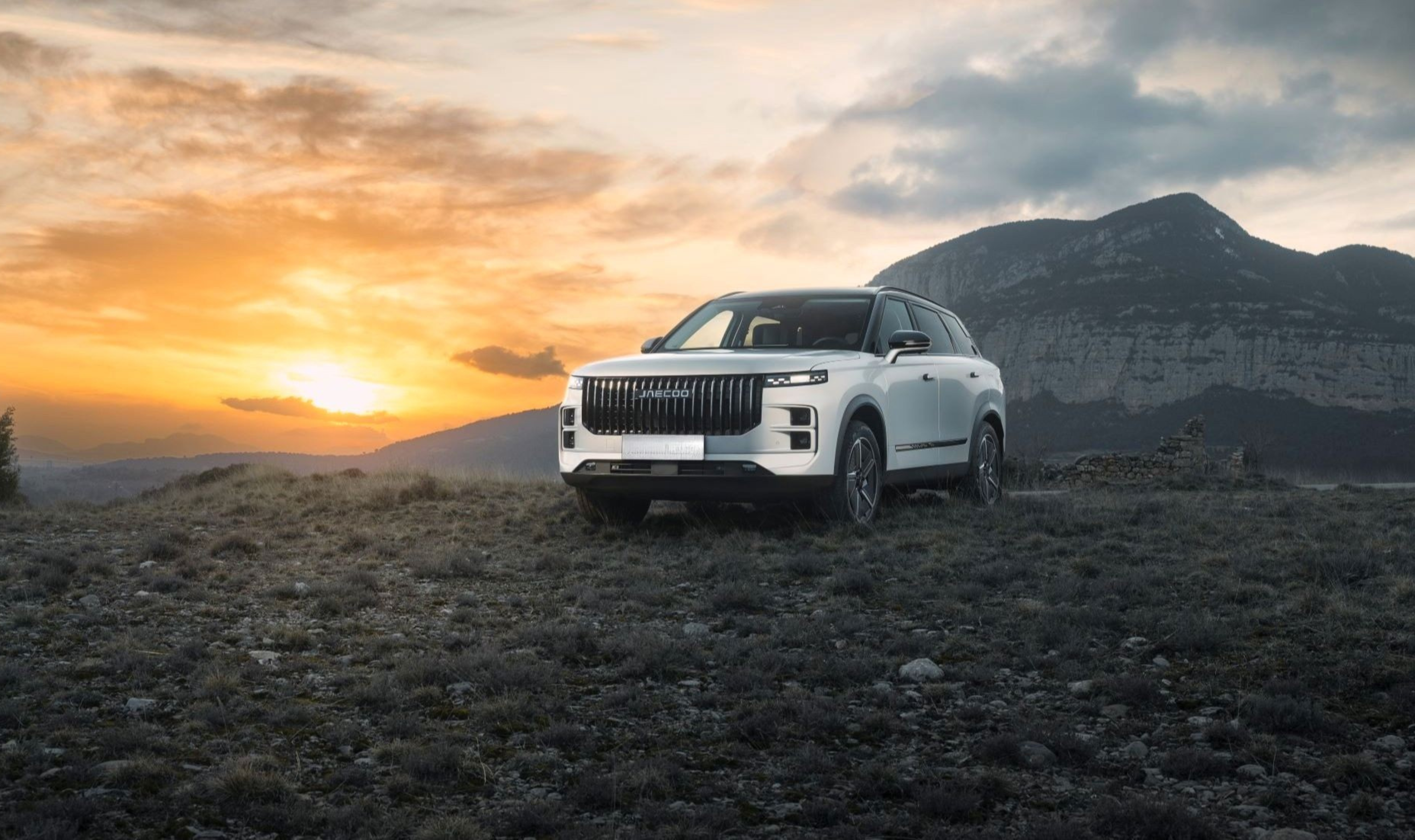 Oferta dla Gróników